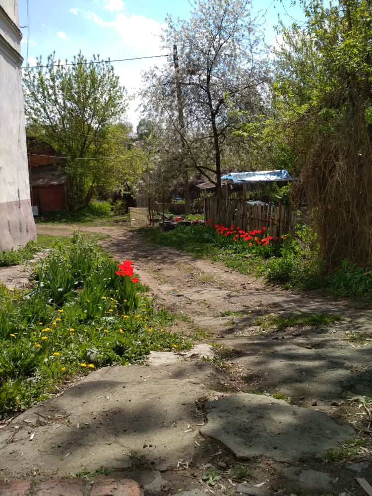 Дворик весной, Серпухов, 2019 г
